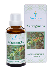 Ashwagandha - die Schlafbeere ist Nahrung für Körper und Geist -sanaviva